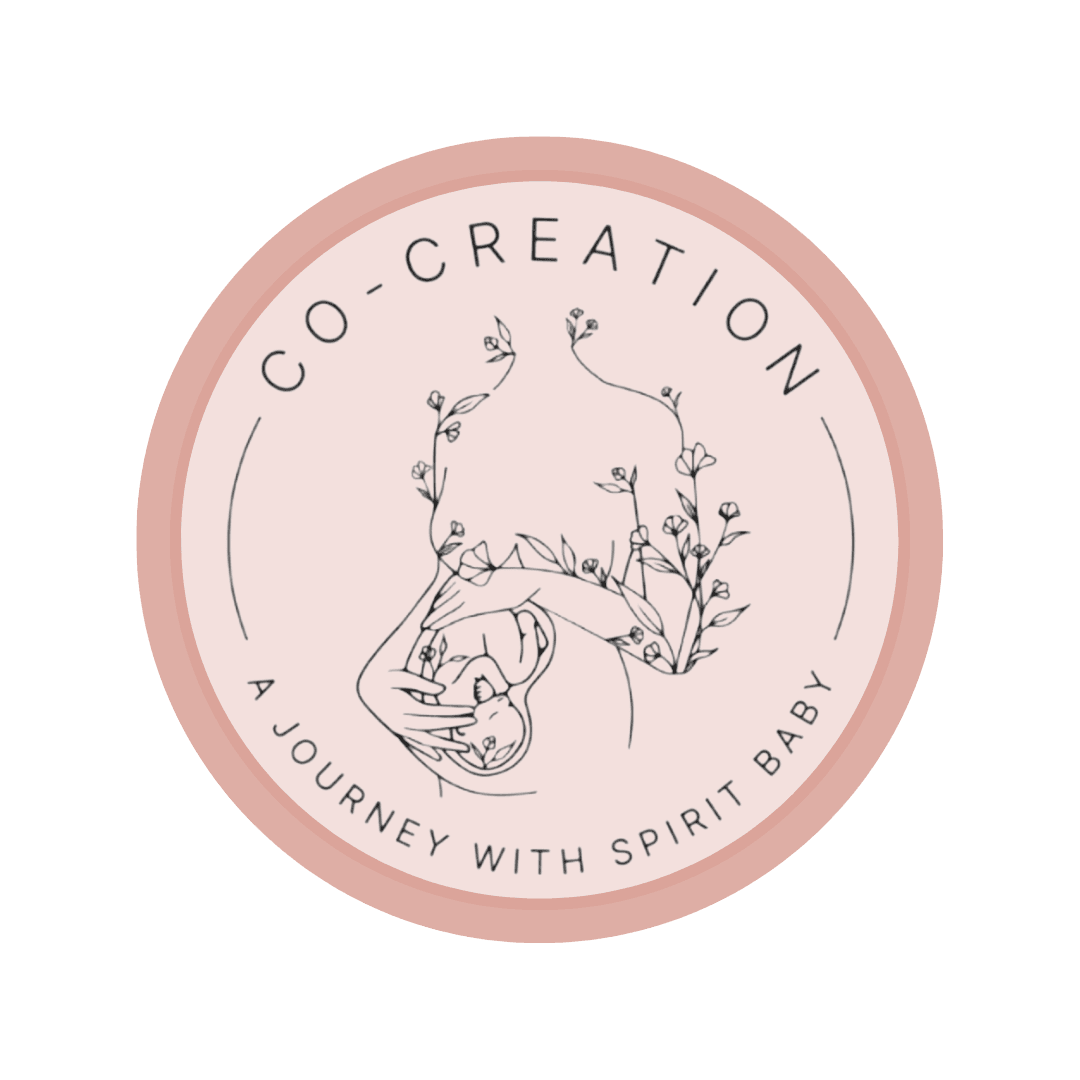 4 WEEKS- Co-Creation - A Journey with Spirit Baby Program_Payment Plan