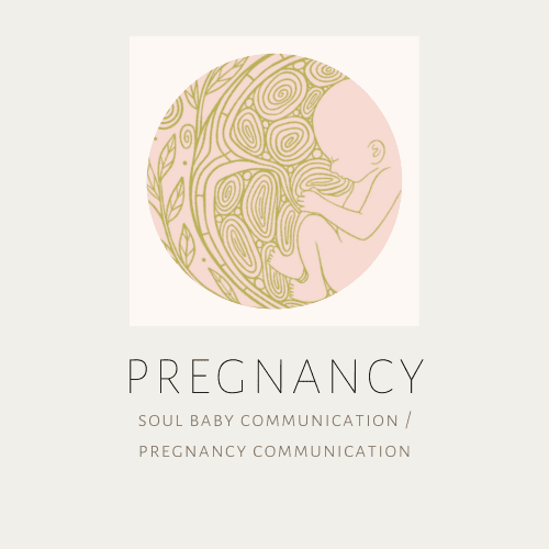 Soul Baby Communication Session / Pregnancy